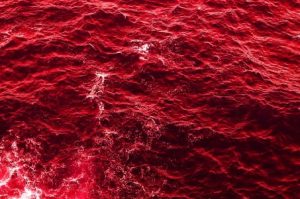 blood