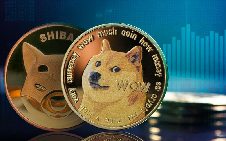 Dogecoin และ Shiba Inu ครองแชมปเหรียญที่มีความ Decentralized มากที่สุด -  Crypto News