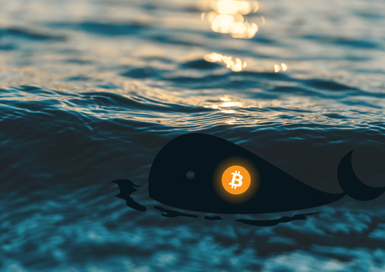 วาฬลึกลับได้สะสม Bitcoin มูลค่า 3 พันล้านดอลลาร์และเป็นอันดับสามของโลก แต่ก็เป็นเรื่องน่าสงสัยที่เจ้าของไม่ขาย Bitcoin เลยตั้งแต่เริ่มก่อตั้ง?