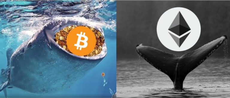 จากรายงานของ Glassnode ขณะนี้วาฬ Bitcoin และวาฬ Ethereum นั้นมีพฤติกรรมสวนทางกัน